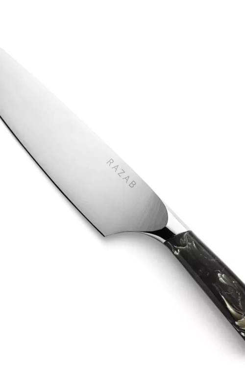 Razab 8 Inch Japanese Professional Chef Knife, High Carbon Stainless Steel